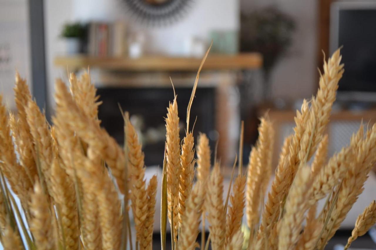 Finca Paredes Valdetorres de Jarama Εξωτερικό φωτογραφία