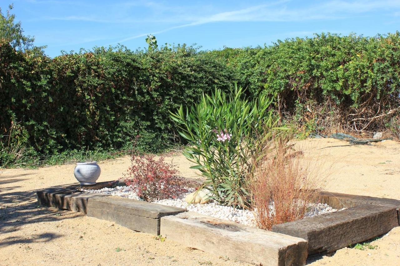 Finca Paredes Valdetorres de Jarama Εξωτερικό φωτογραφία