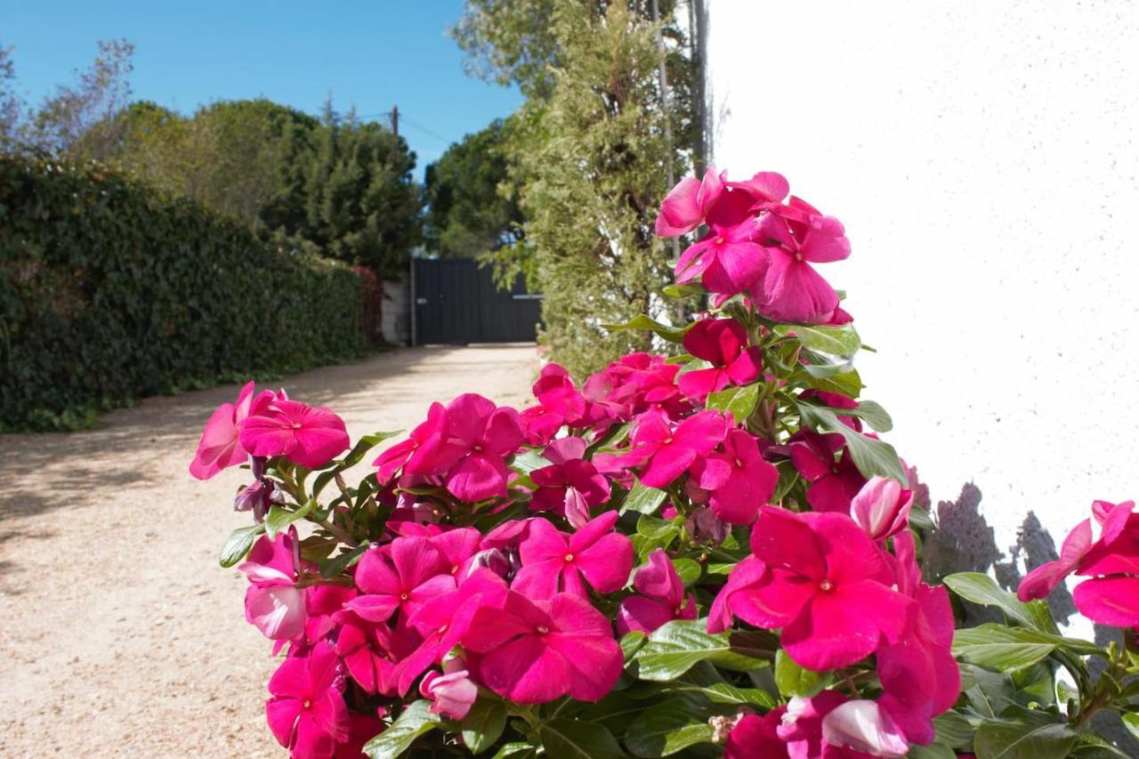 Finca Paredes Valdetorres de Jarama Εξωτερικό φωτογραφία