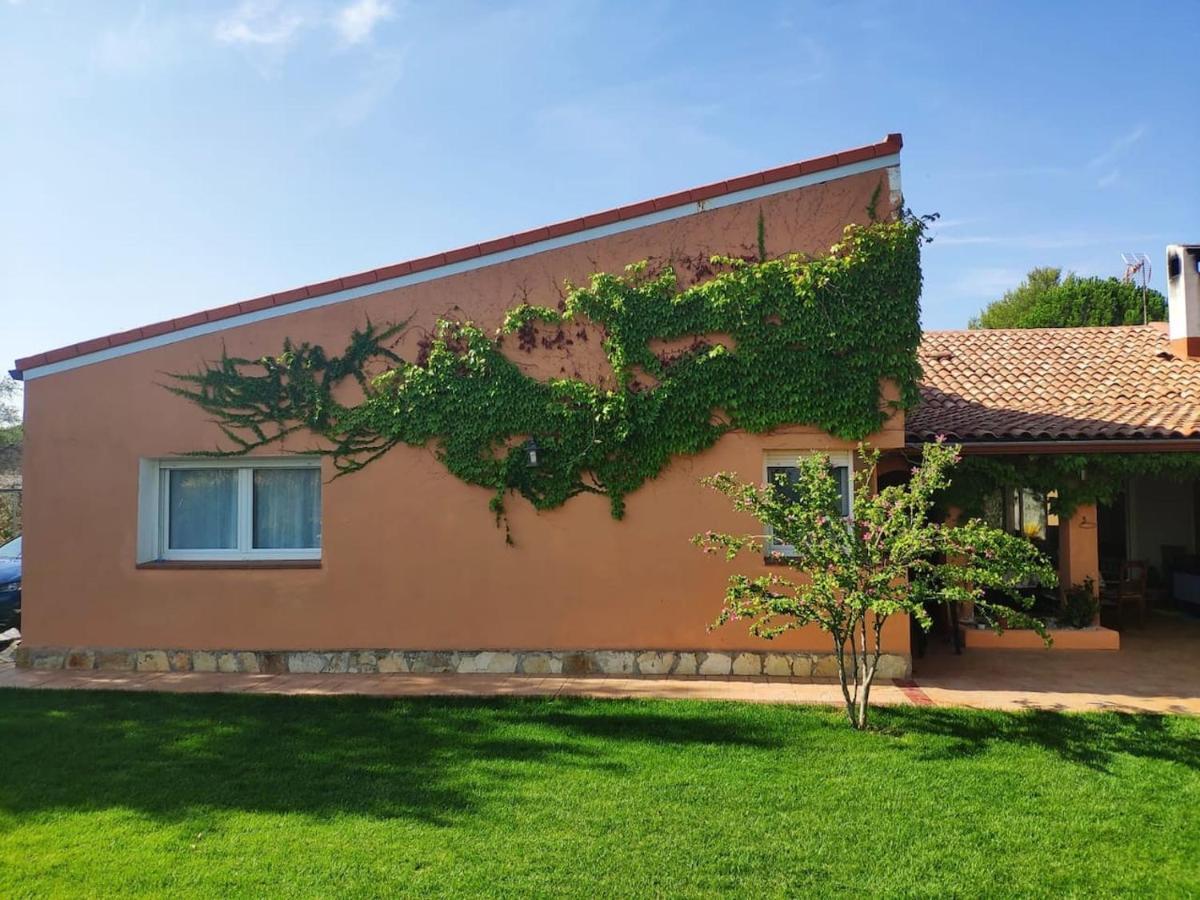 Finca Paredes Valdetorres de Jarama Εξωτερικό φωτογραφία
