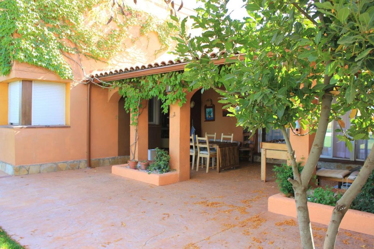 Finca Paredes Valdetorres de Jarama Εξωτερικό φωτογραφία